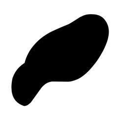 irregular black blob shape
