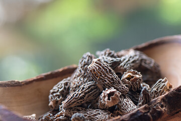 Dry Morel Mushrooms on Wooden Platter. Close-up of textured morel mushrooms, artfully arranged on a rustic wooden platter, emphasizing their unique structure.