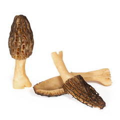 Group of  Freshly clean picked morels cutaway cut in half white background closeup