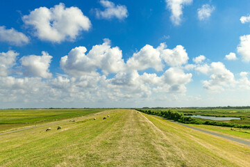 West coast dyke landscape in northern Germany - 4538