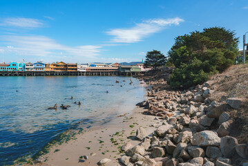 Tranquil coastal scene with sandy beach, rocky shoreline, calm water, sea lions, pier with shops,...