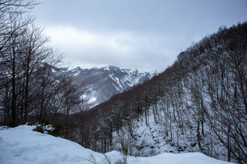 Camminata per il Monte Giovo, provincia di Modena, Emilia Romagna