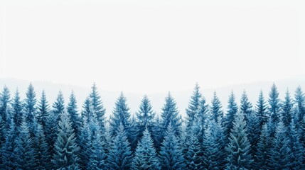 Serene and mystical winter forest scene with dense frost-covered trees in a foggy atmosphere