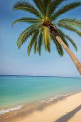 Summer season beach side palm tree