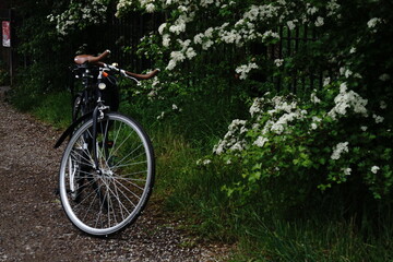 Fototapeta premium Classic Bike In A Rural Scene