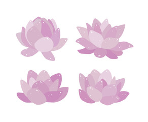 A set of hand-drawn illustrations of the 'lotus', a symbol of 'Buddha's Birthday'. Lotus flowers grow in ponds, and their roots are called lotus roots.