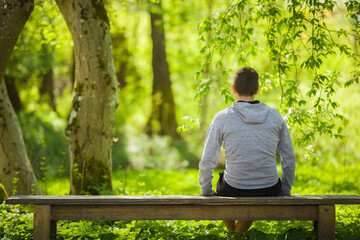 Young adult man sitting on bench and staring at green leaves, grass and trees. Thinking about life at beautiful park in sunny spring day. Spending time alone in nature. Peaceful atmosphere. Back view.