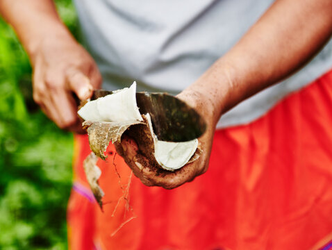Hands of an indigenous woman cutting open a yucca root in the Cuyabeno wildlife reserve, Amazon rainforest, Ecuador, South America
