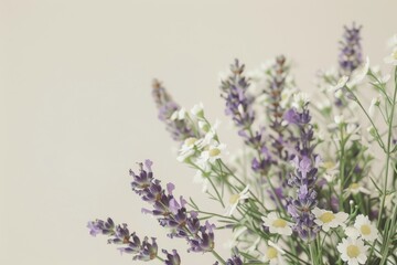 Aromatic herbs like lavender and chamomile, soft pastel colors, relaxation and calm theme