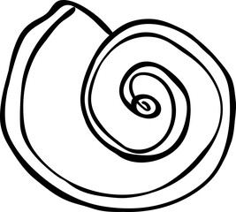 Seashell on transparent background.