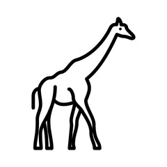 giraffe line icon vector in trendy style