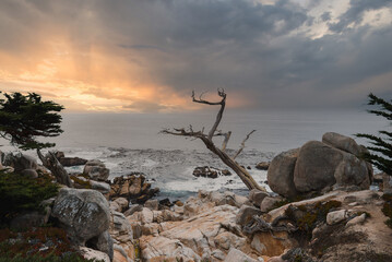 Dramatic coastal scene along 17 Mile Drive, California. Rugged rocks, a dead tree, resilient greenery, and boulders against a dynamic sky with sunlight piercing dark clouds. Serene yet powerful.
