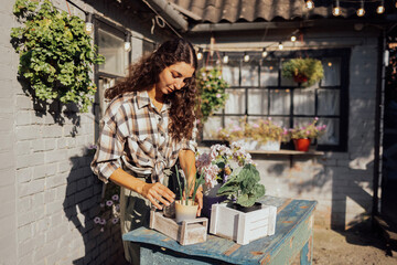 A young charming woman in casual clothes is transplanting flowers on a table outdoors. A...