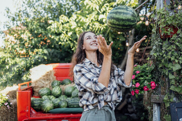 Charming smiling woman in casual clothes tosses watermelon outdoors. Curly-haired young farmer...