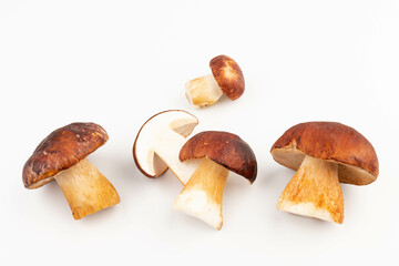 Bay bolete. Edible mushrooms (Boletus badius) isolated on white background with clipping path....