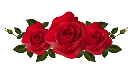 Red roses isolated on transparent background. PNG