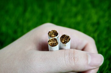 Hand fist holding three cigarette smoke tobacco pieces isolated on horizontal ratio grasses background.