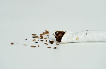 Cigarette filter object with tobacco fragment pieces isolated on horizontal ratio white background...
