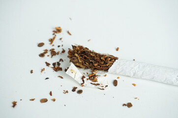 Cigarette filter cylinder object with crushed tobacco leaves fragment pieces isolated on horizontal...