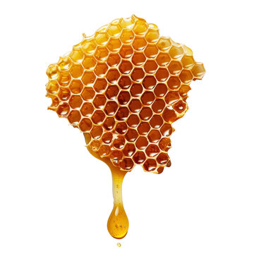 honeycomb and honey isolated on transparent background png file
