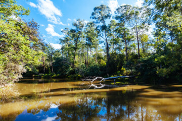 Warrandyte River Reserve in Melbourne Australia
