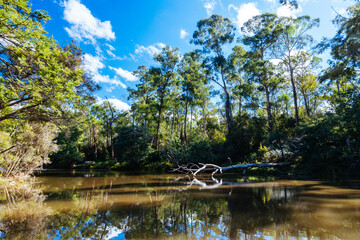 Warrandyte River Reserve in Melbourne Australia