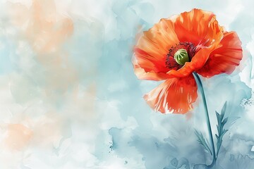 Boldly depicted in watercolor, the Poppy flower bursts forth with its vibrant red petals and contrasting black center, its graceful silhouette swaying in an imaginary breeze.