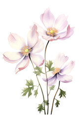 Pink flowers, detailed petals, high quality, 3d render.