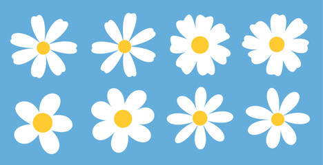 White Daisies on Blue Background