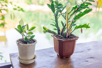 The background of a wooden chair, a wooden table that is placed to sit, relax or bring a garden, place a vase of flowers for the beauty of the witness.