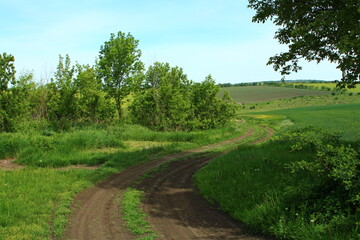 A dirt road through a grassy field