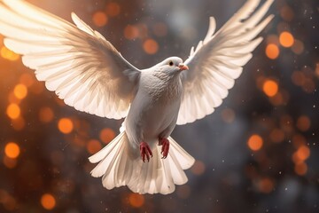 lovely white dove bird message of faith - Powered by Adobe