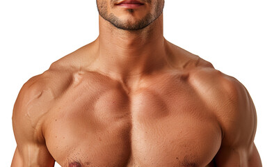 Fototapeta premium Close-up of a fit male torso showing detailed muscles isolated on transparent background png