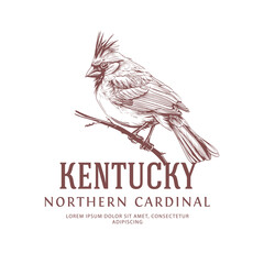 Kentucky State Bird Logo Northern Cardinal