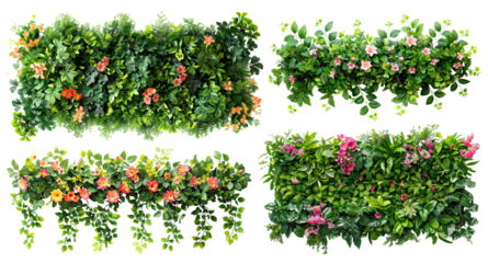 Set of green garden walls from tropical plants and flowers, cut out