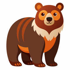 bear on white background 