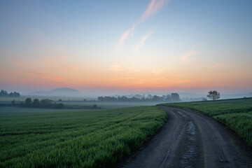 Thuerer meadows close to Mendig during sunrise, Eifel, Rhineland-Palatinate, Germany