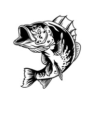 Bass Fish | Fisherman | Aquatic Animal | Lake Fishing | Marine Life | Fish | Original Illustration | Vector and Clipart | Cutfile and Stencil