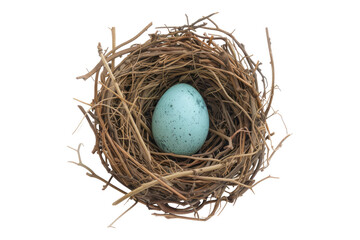 Bird nest with one egg isolated on transparent background