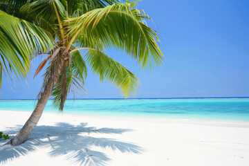 Sea sandy beach background