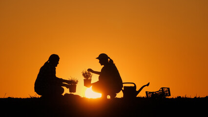 Two women plant a plant in a field at sunset, water it from a hand-held sprinkler