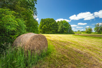 A bale of hay lies in the shade of trees next to a mown meadow, summer view in Nowiny, eastern...