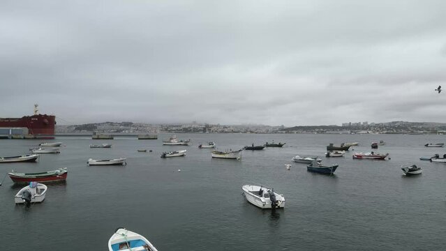 Spectacular drone footage of Trafaria Silopor Harbor captures vibrant maritime activity. Cargo ships unload against the charming coastal town backdrop. Perfect for travel and maritime projects.