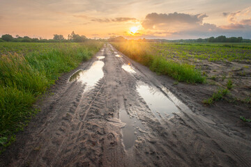 Puddles after rain on dirt road and sunset sky