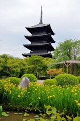 東寺 五重塔