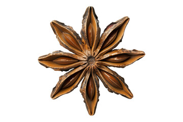 Dry star anise isolated on transparent background