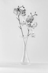glass vase with artificial orchids, isolated on white background. high key black and white photography