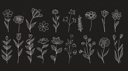 Minimalist Floral Outline Set, A set of minimalist floral outlines in vector format, perfect for subtle background patterns, with simple adjustments for color and scale