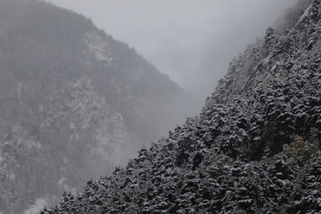 snow covered mountains