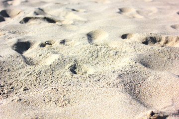 prints in the sand
